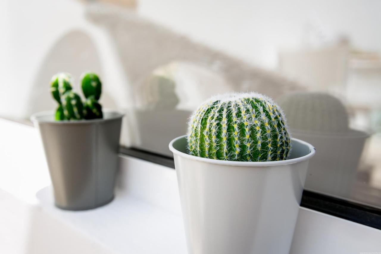 Cactus Apartment San Miguel de Abona Esterno foto